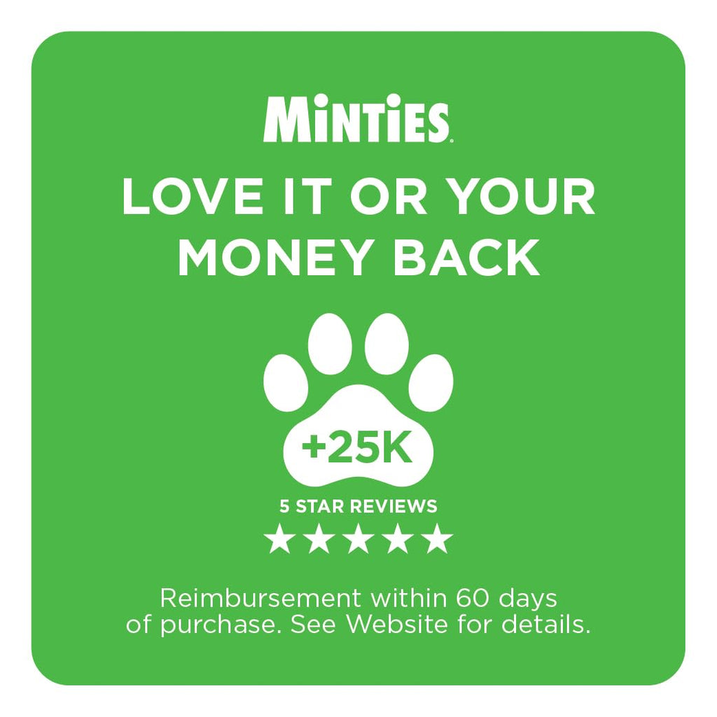 Mint Dental Chews for Dogs 36 Ct O282