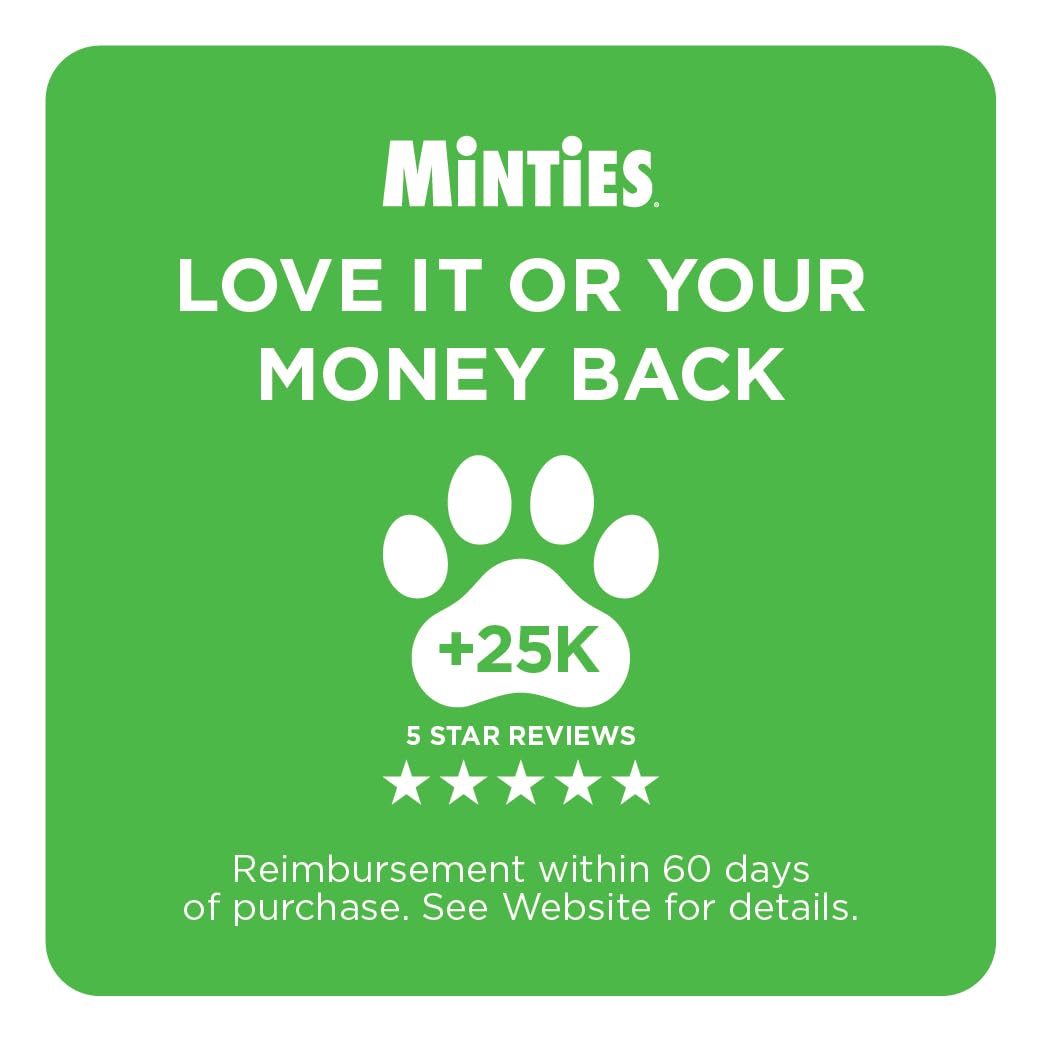 Mint Dental Chews for Dogs 36 Ct O282
