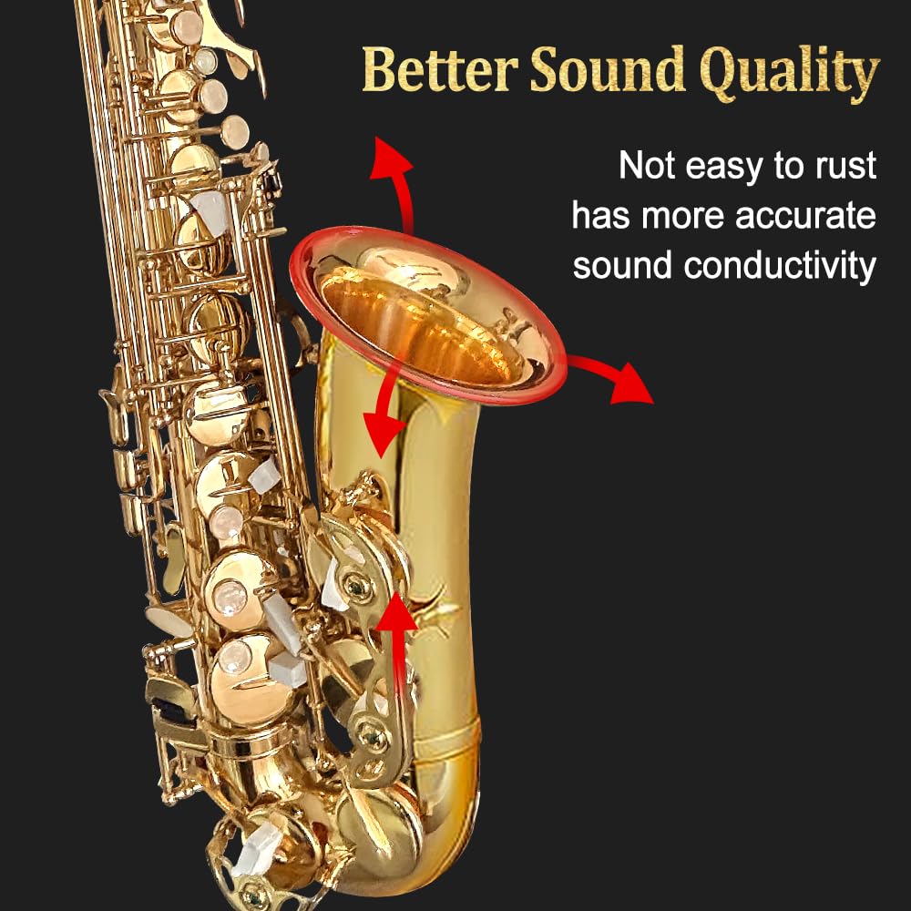 Alto Saxophone with Case & 10 Reeds V200083
