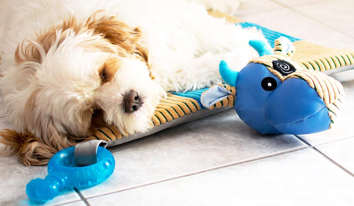 Puppy Play Mat with Teething Toys V766