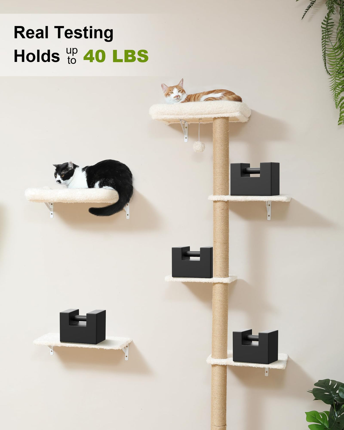 Beige Wall Mounted Cat Shelves Set I61037