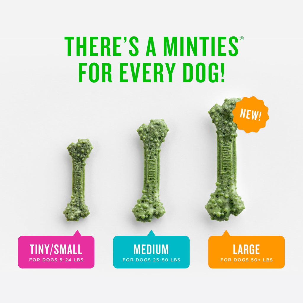 Mint Dental Chews for Dogs 36 Ct O282