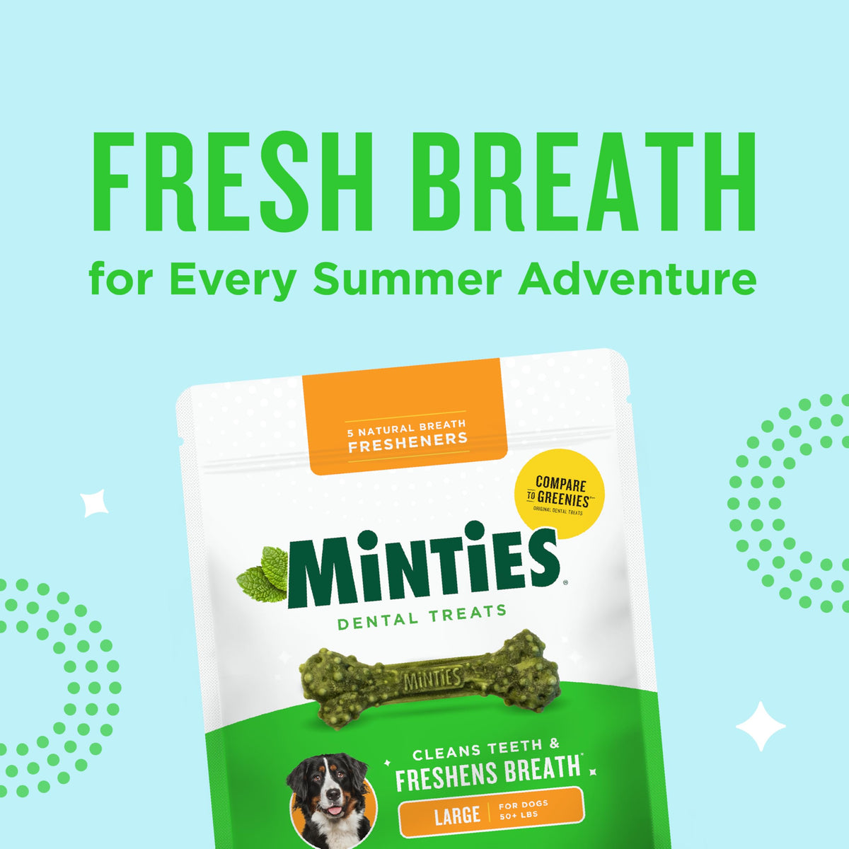 Mint Dental Chews for Dogs 36 Ct O282