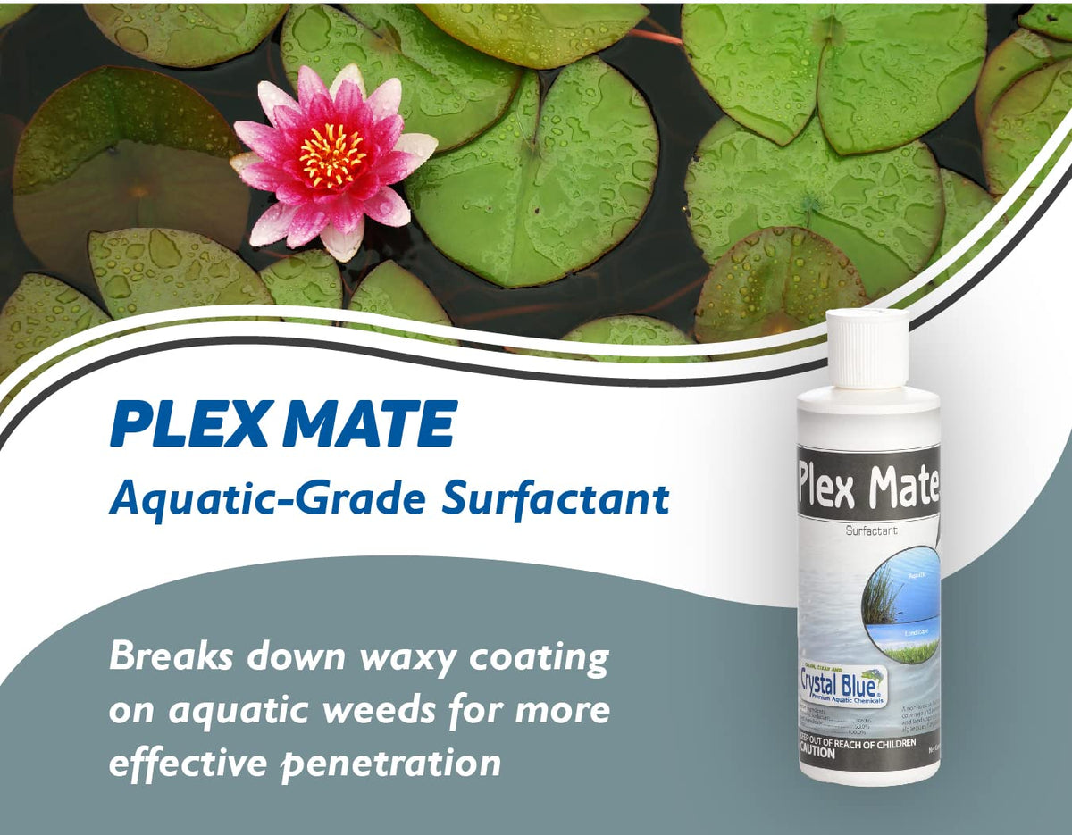 Aquatic Surfactant 8 Ounces Non-Ionic W18805