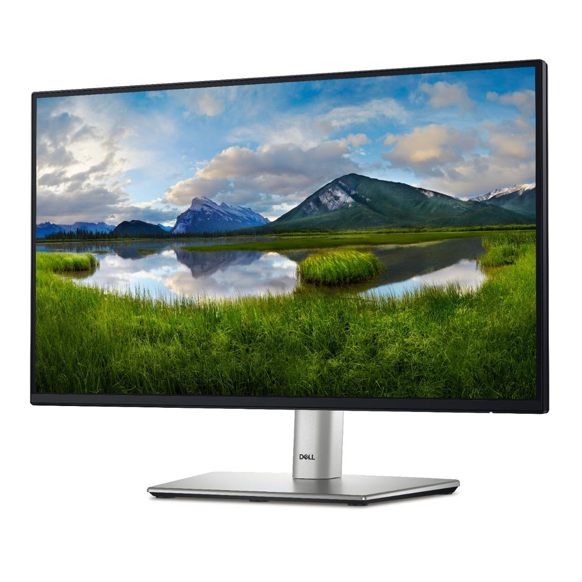 22 Monitor L77065