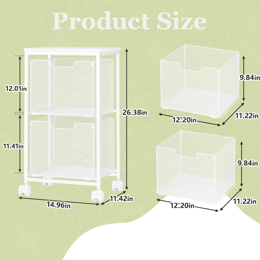 Rolling File Cart with 2 Storage Drawers S4559
