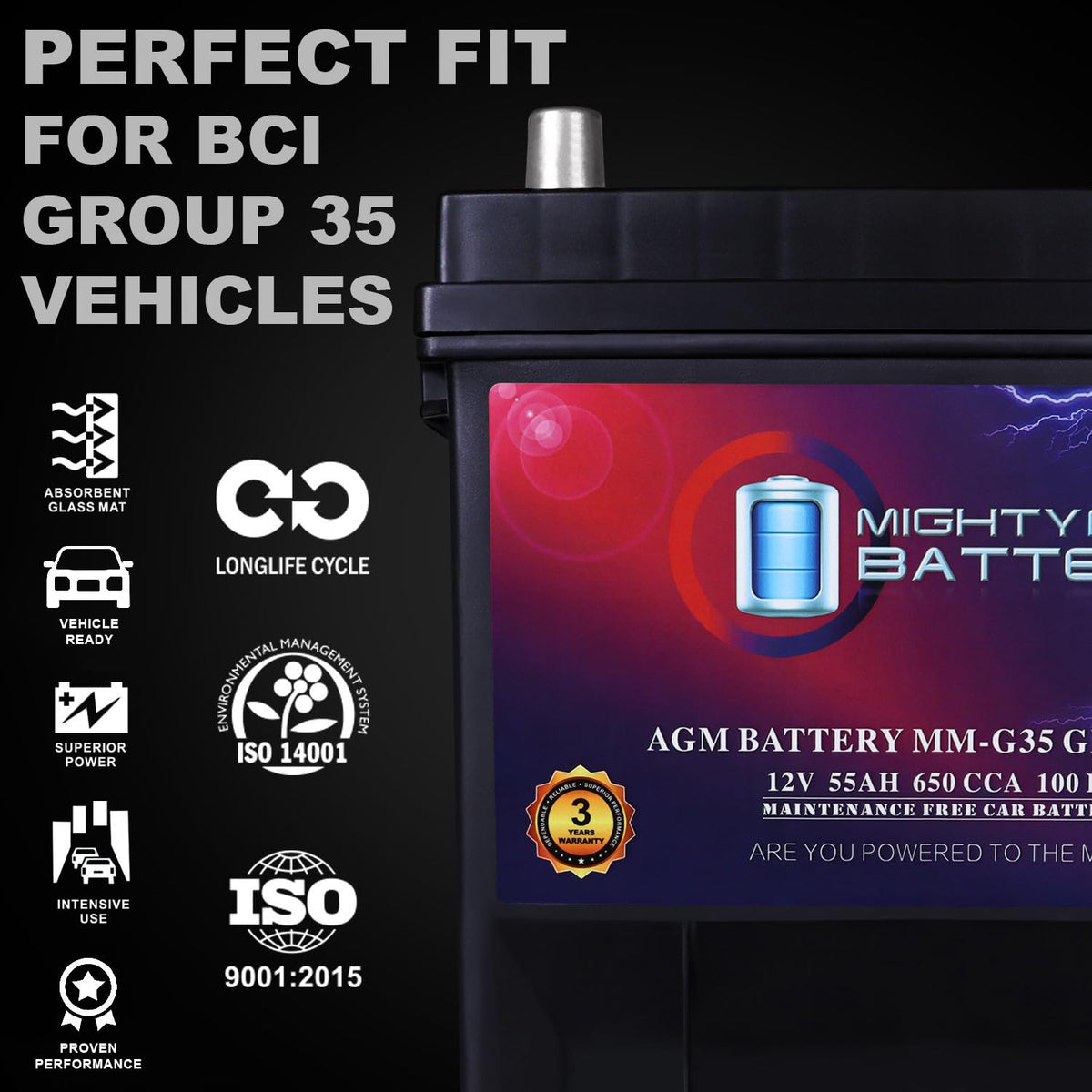 12V 55Ah AGM Replacement Battery R9384