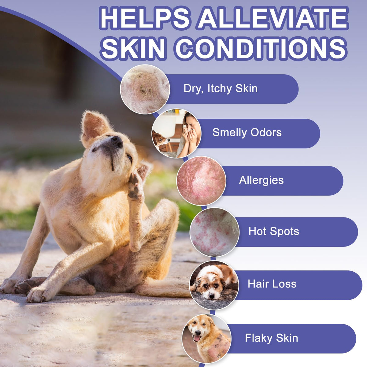 Medicated Dog Shampoo with 2% Miconazole & 2% Chlorhexidine 17 oz V4646