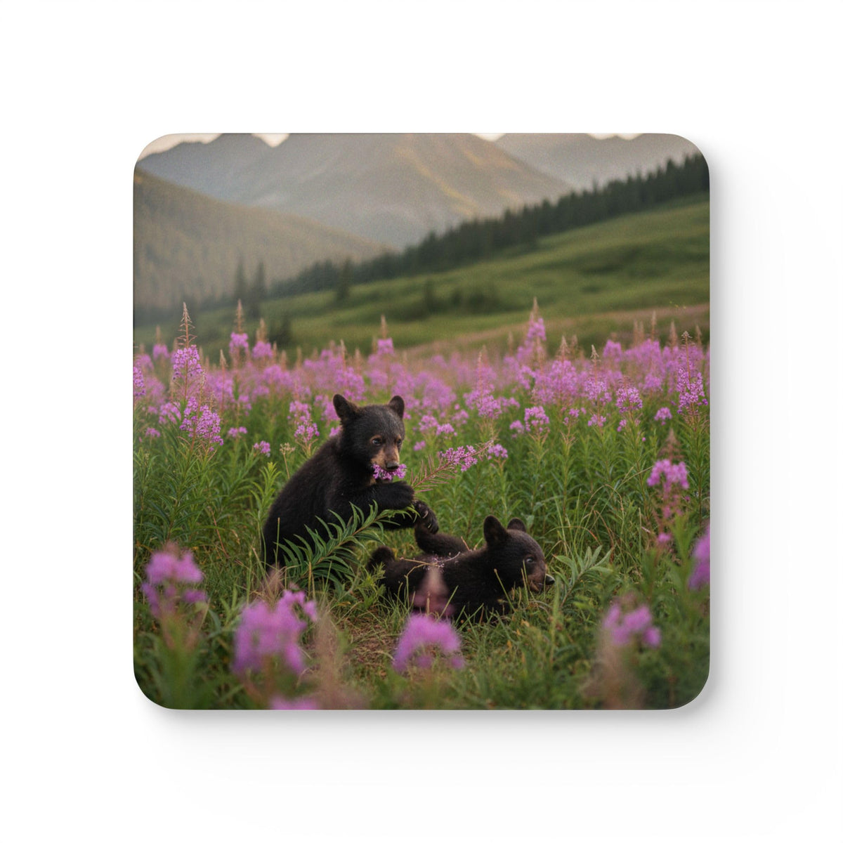 Set of 4 Coasters C406585
