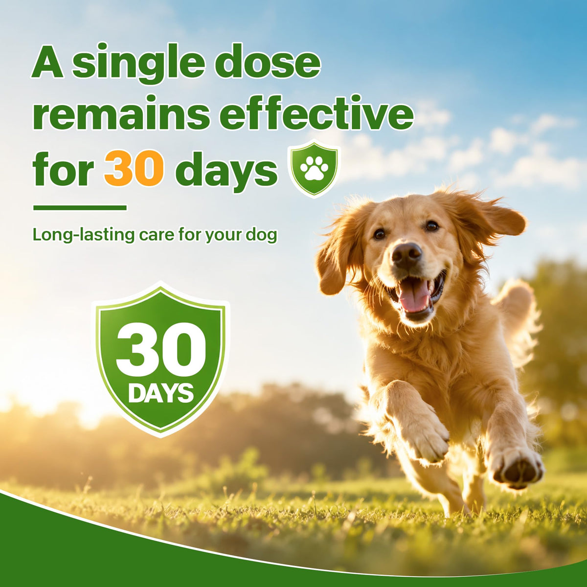 Flea and Tick Prevention for Dogs 5-43 lbs 6 Doses I9902