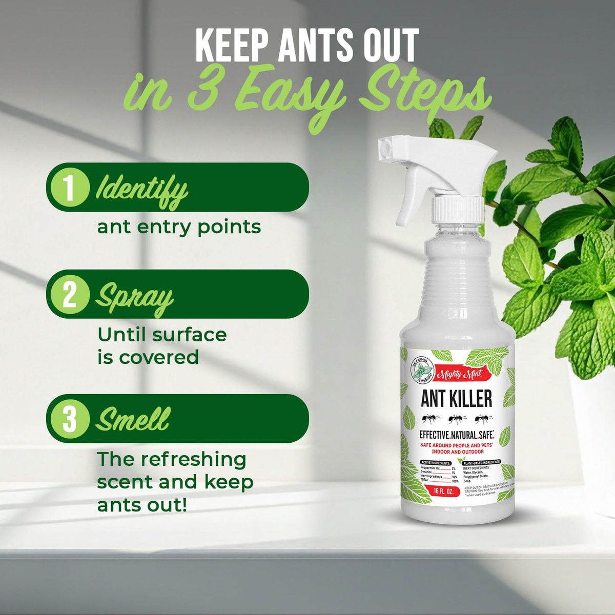 Peppermint Oil Ant Killer Spray, 16 oz O23653