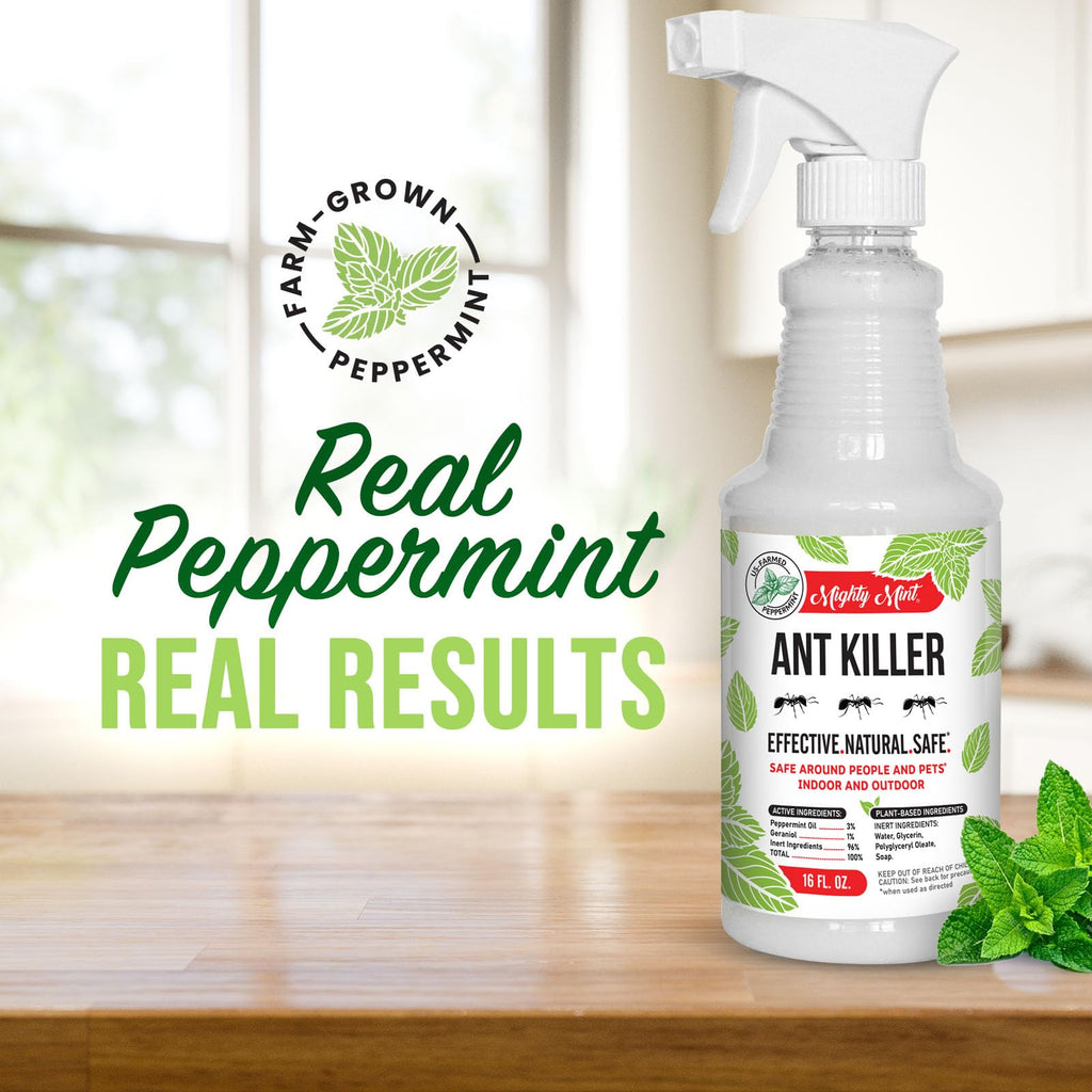 Peppermint Oil Ant Killer Spray, 16 oz O23653