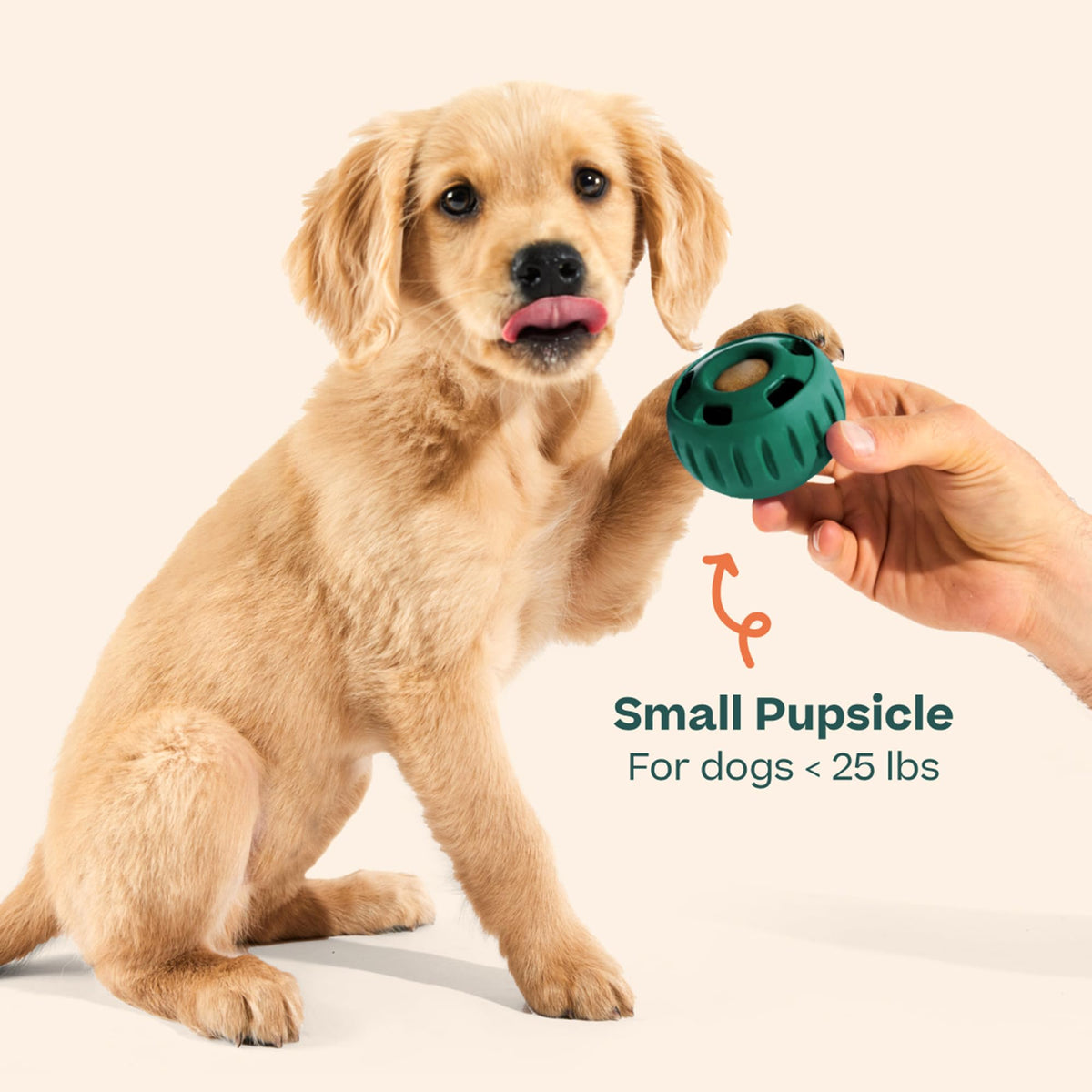 Interactive Dog Ball Toy 25-75 lbs Green U957165