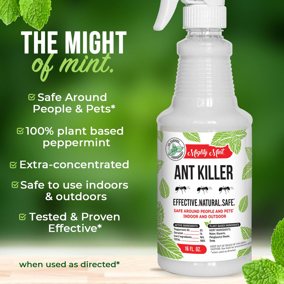Peppermint Oil Ant Killer Spray, 16 oz O23653