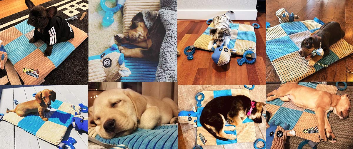 Puppy Play Mat with Teething Toys V766