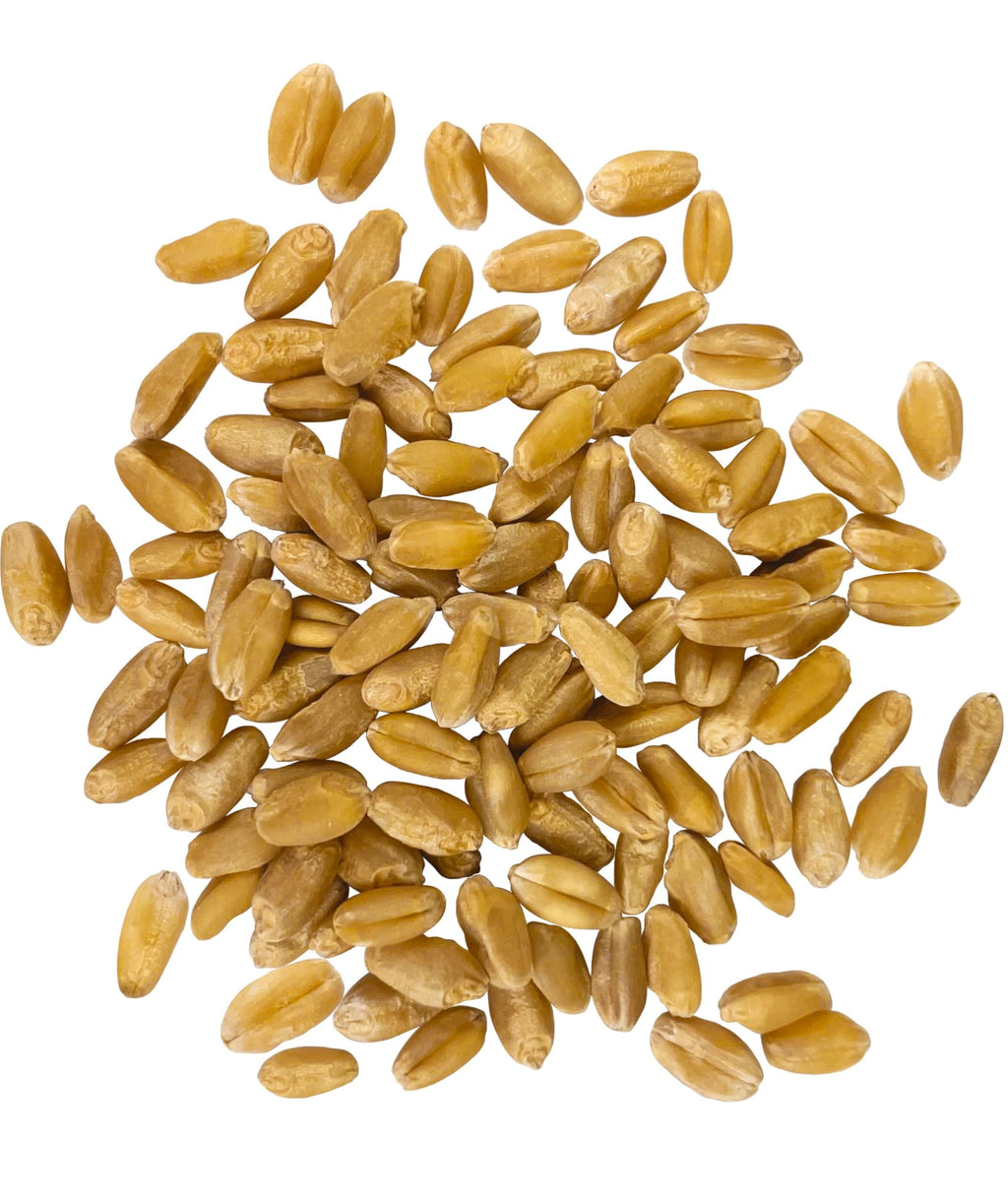 Hard White Wheat Berries 50 lbs N800