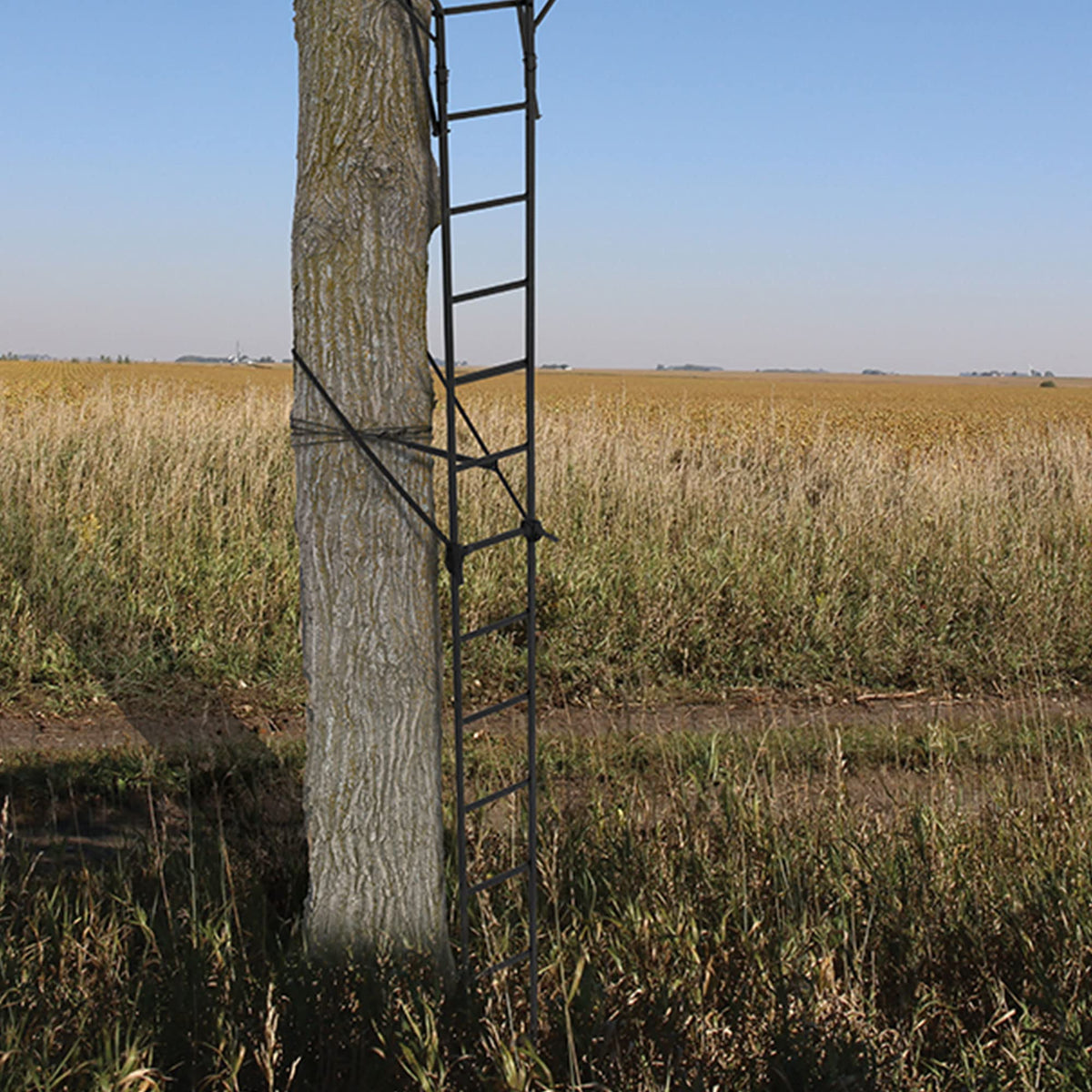 2 Person 18 Foot Tall Portable Hunting Tree Ladder Stand (2 Pack) B479