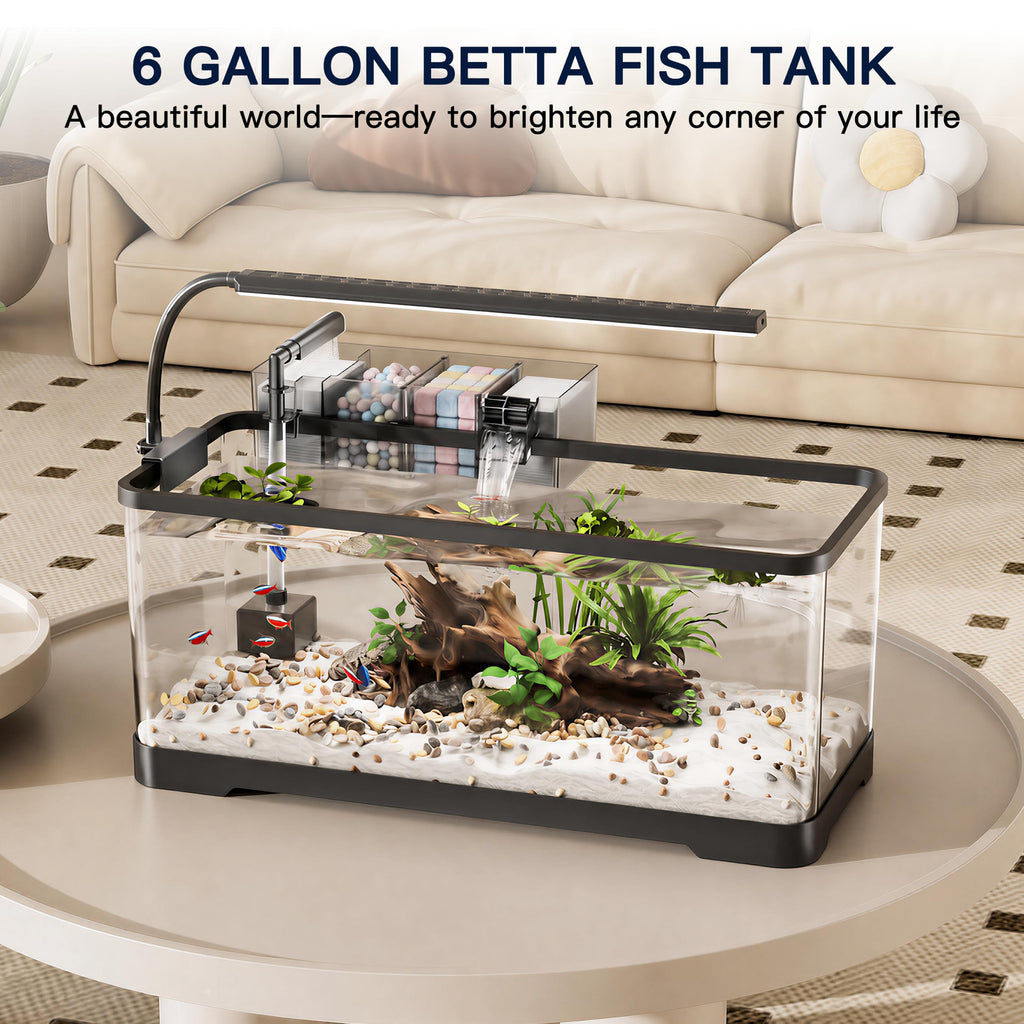 6 Gallon Betta Fish Tank V482