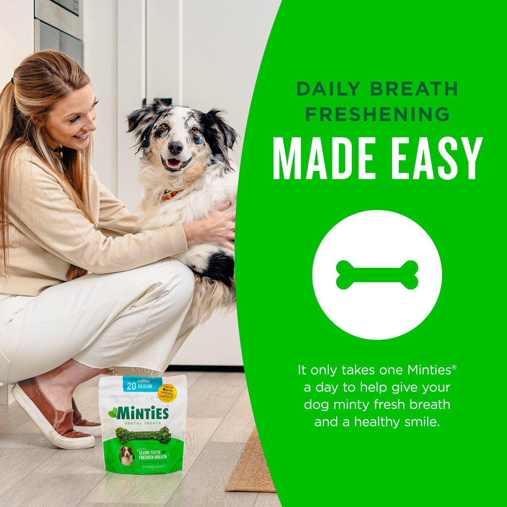 Mint Dental Chews for Dogs 36 Ct O282