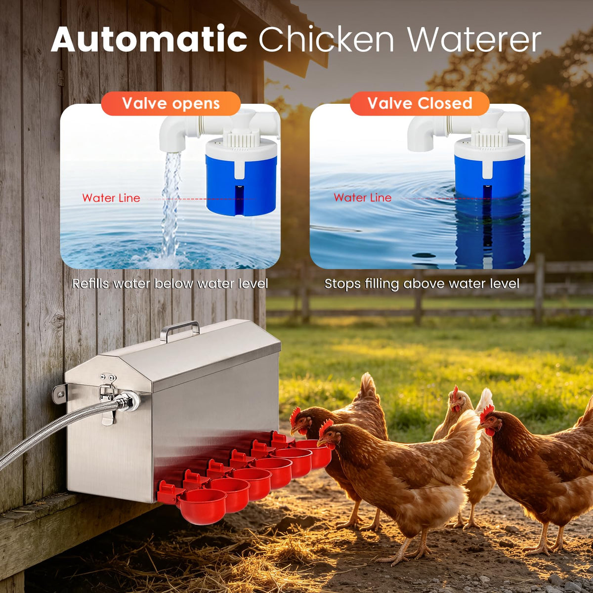 1.5 Gallon Metal Automatic Chicken Waterer E137061