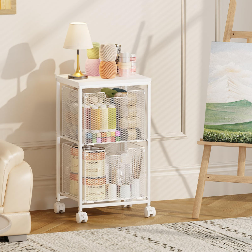 Rolling File Cart with 2 Storage Drawers S4559