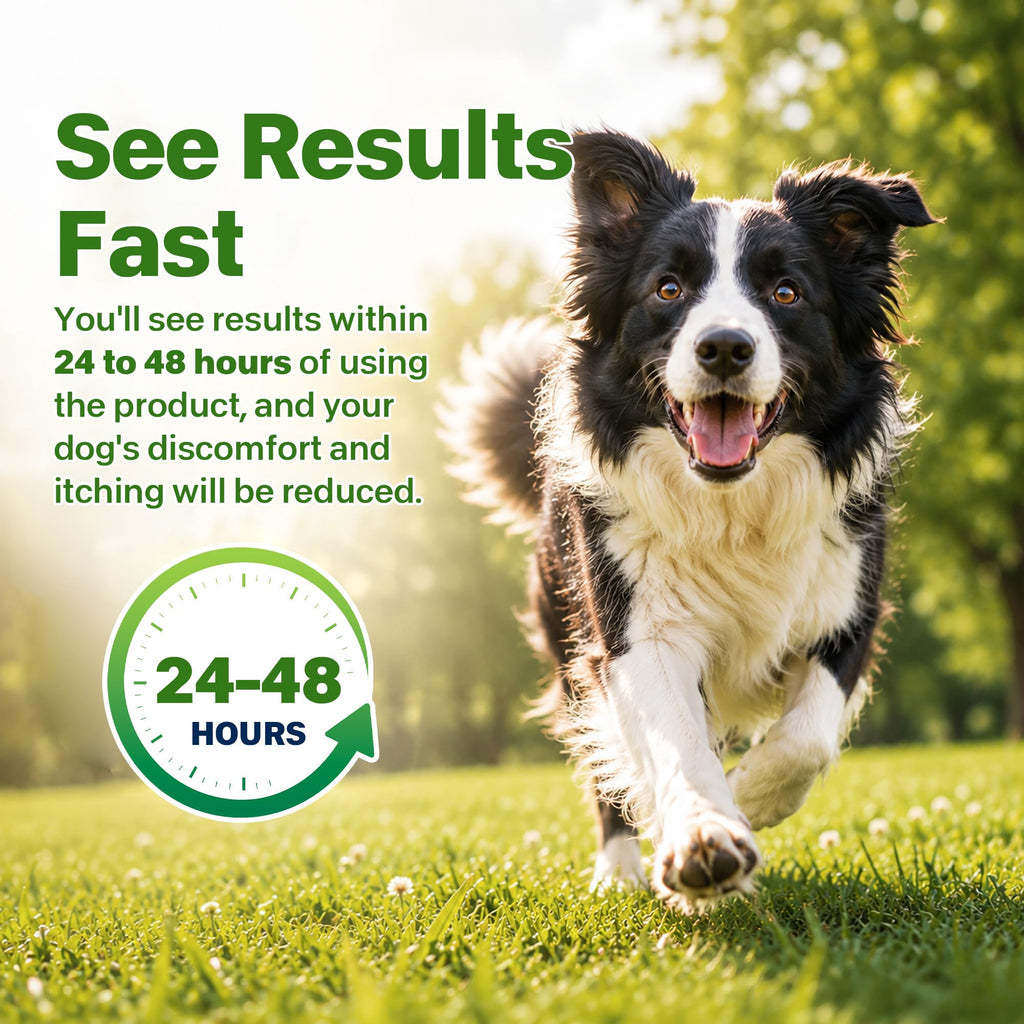 Flea and Tick Prevention for Dogs 5-43 lbs 6 Doses I9902