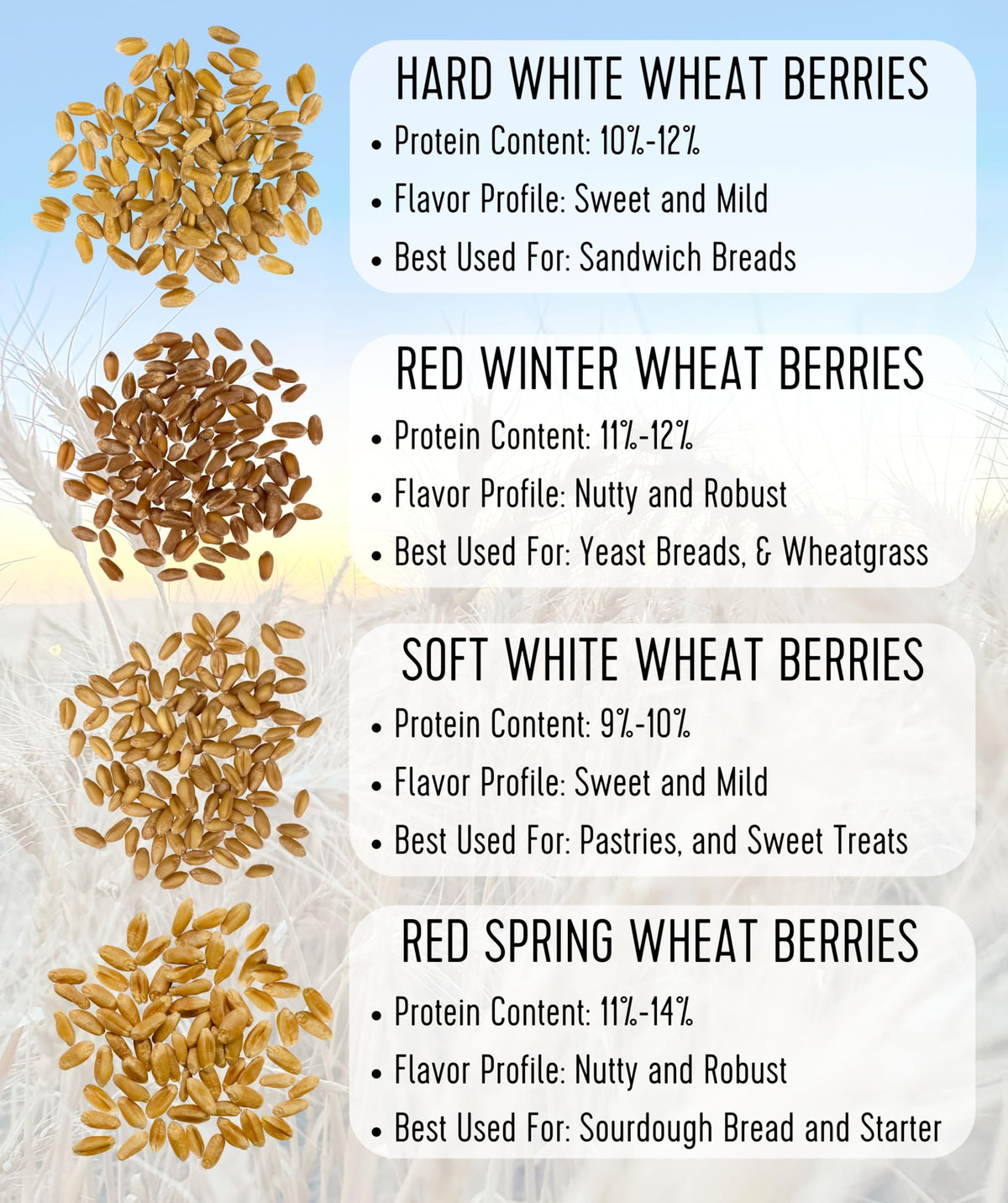 Hard White Wheat Berries 50 lbs N800