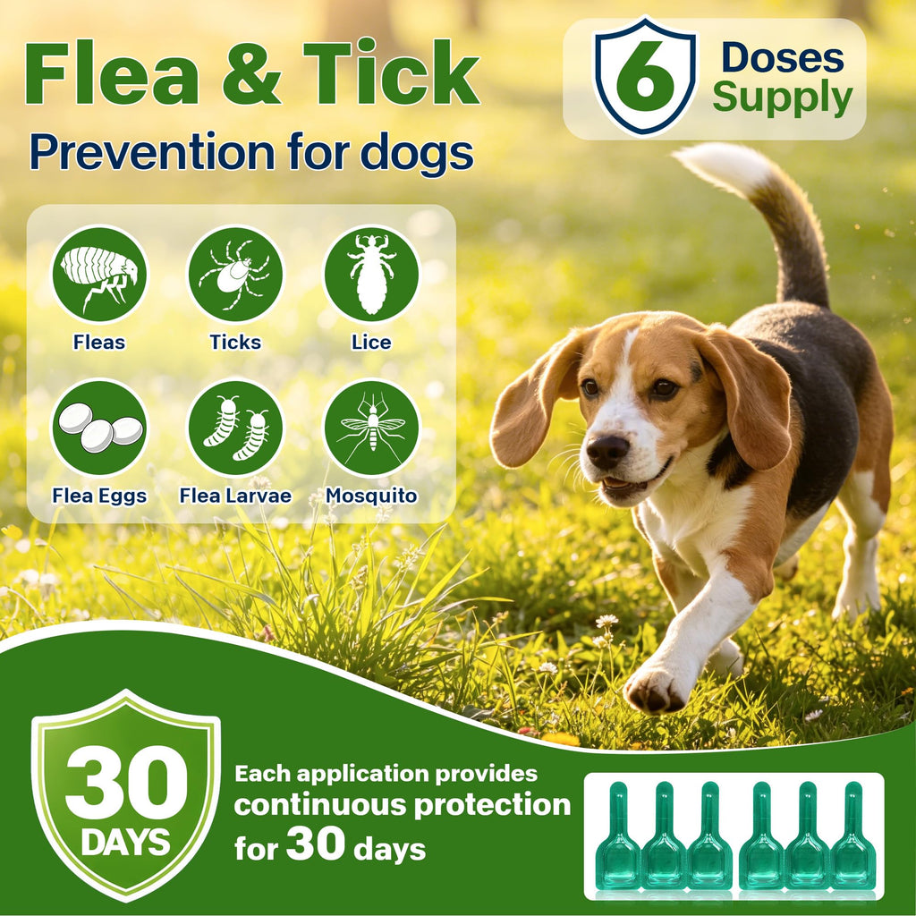 Flea and Tick Prevention for Dogs 5-43 lbs 6 Doses I9902