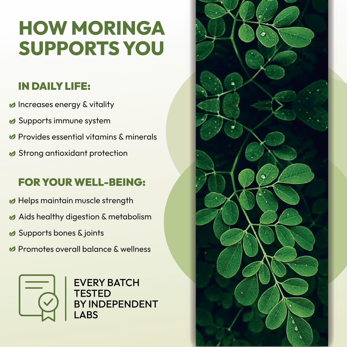 Organic Moringa Leaf Capsules 1000mg 90 Capsules N463962