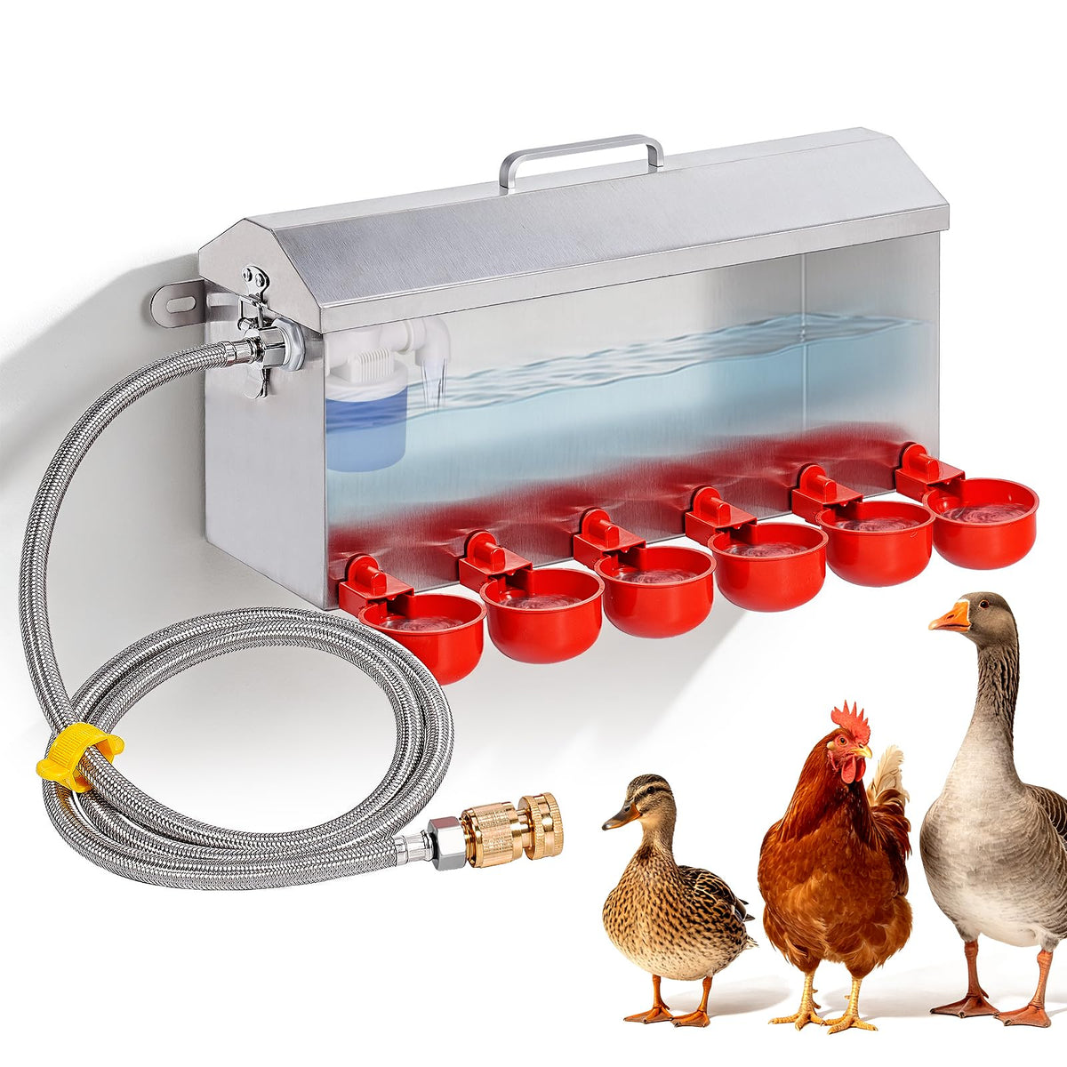 1.5 Gallon Metal Automatic Chicken Waterer E137061