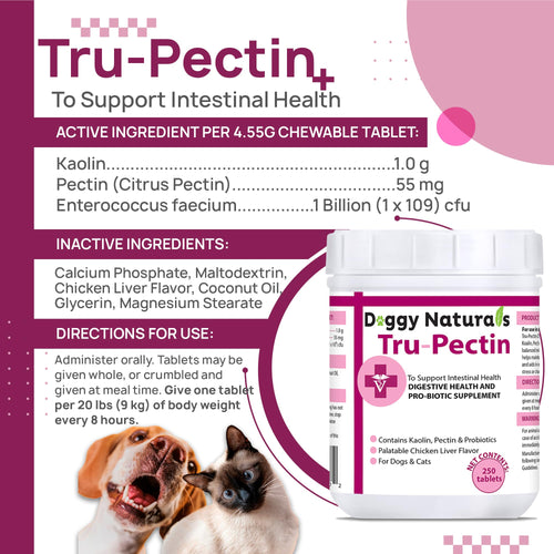250 Tablets Chicken Liver Flavor Anti-Diarrheal for Dogs & Cats A679050