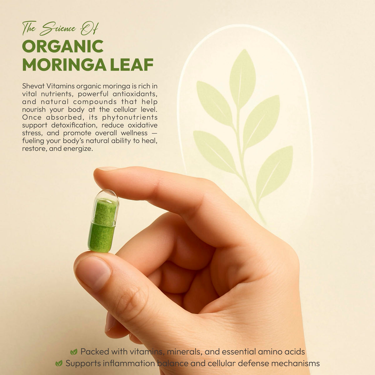 Organic Moringa Leaf Capsules 1000mg 90 Capsules N463962