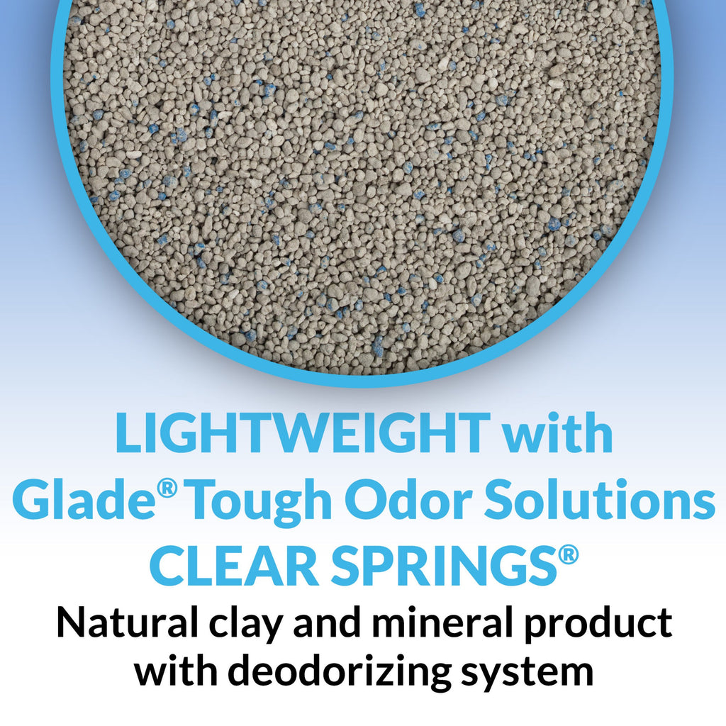 Clumping Low Dust Lightweight Cat Litter 6 lb D363166